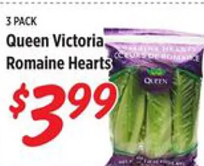 Queen Victoria Romaine Hearts