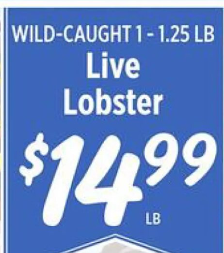 Live Lobster