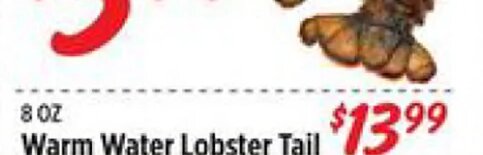 Warm Water Lobster Tail