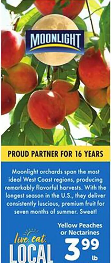 Moonlight Yellow Peaches or Nectarines
