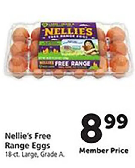 Nellie's Free Range Eggs at Safeway
