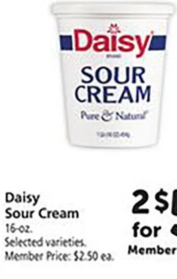 Daisy Sour Cream