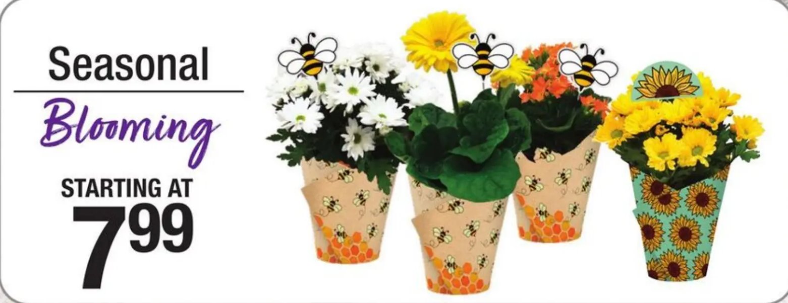 Seasonal Blooming