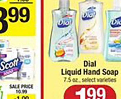 Dial Liquid Hand Soap