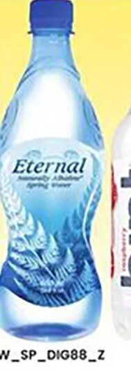 Eternal Water