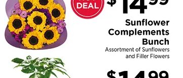 Sunflower Complements Bunch