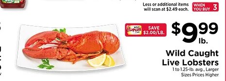Wild Caught Live Lobsters