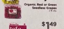 Organic Red or Green Seedless Grapes at ShopRite