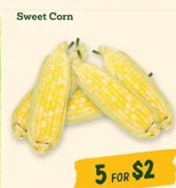 Sweet Corn at Sprouts