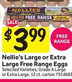Nellie's Large or Extra Large Free Range Eggs