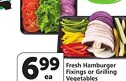 Fresh Hamburger Fixings or Grilling Vegetables
