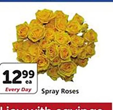 Spray Roses