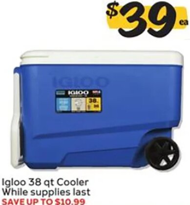 Igloo Cooler